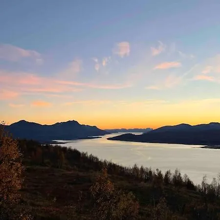 See Northern Lights From The Living