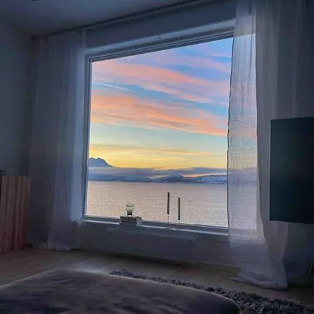 See Northern Lights From The Living * 特罗姆瑟