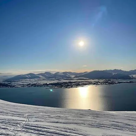 See Northern Lights From The Living Appartement Tromsø